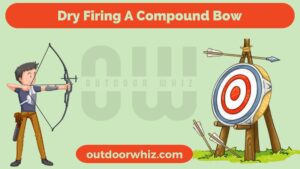 Dry Firing A Bow: Everything you should know about dry firing bow