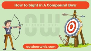 How To Sight in A Compound Bow