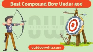 Best Compound Bow For Under $ 500