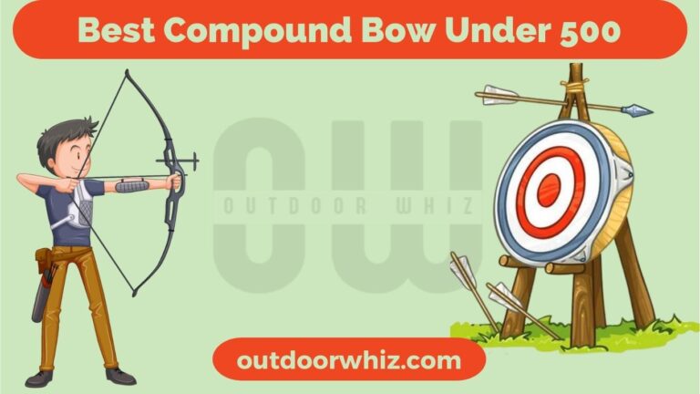 7 Best Compound Bow Under 500 For Archery Lovers