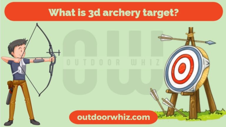 What is 3d archery target?